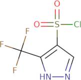 3-(Trifluoromethyl)-1H-pyrazole-4-sulfonyl chloride