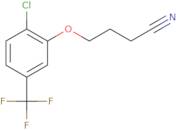 4-[2-Chloro-5-(trifluoromethyl)-phenoxy]butanenitrile