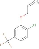 1-Chloro-2-(prop-2-en-1-yloxy)-4-(trifluoromethyl)benzene