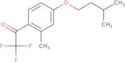 2,2,2-Trifluoro-1-(4-(isopentyloxy)-2-methylphenyl)ethanone