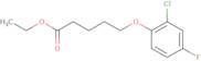 Ethyl 5-(2-chloro-4-fluoro-phenoxy)pentanoate