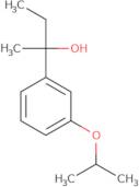 2-(3-Isopropoxyphenyl)butan-2-ol