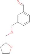 3-[(Tetrahydrofurfuryloxy)methyl]benzaldehyde