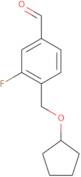 4-[(Cyclopentyloxy)methyl]-3-fluorobenzaldehyde