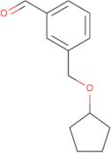 3-[(Cyclopentyloxy)methyl]benzaldehyde