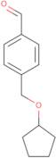 4-[(Cyclopentyloxy)methyl]benzaldehyde