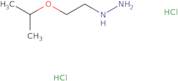 [2-(Propan-2-yloxy)ethyl]hydrazine dihydrochloride