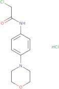 2-Chloro-N-[4-(morpholin-4-yl)phenyl]acetamide hydrochloride