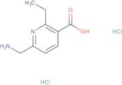 6-(Aminomethyl)-2-ethylpyridine-3-carboxylic acid dihydrochloride