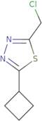 2-(Chloromethyl)-5-cyclobutyl-1,3,4-thiadiazole