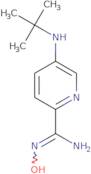 5-(tert-Butylamino)-N'-hydroxypyridine-2-carboximidamide