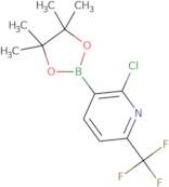 2-Chloro-6-trifluoromethylpyridine-3-boronic acid pinacol ester