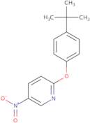 2-(4-(tert-Butyl)phenoxy)-5-nitropyridine