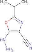 5-Hydrazinyl-2-(propan-2-yl)-1,3-oxazole-4-carbonitrile