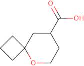 5-Oxaspiro[3.5]nonane-8-carboxylic acid