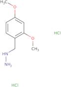 [(2,4-Dimethoxyphenyl)methyl]hydrazine dihydrochloride