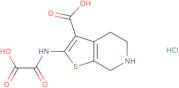 2-(Oxalyl-amino)-4,5,6,7-tetrahydro-thieno[2,3-C]pyridine-3-carboxylic acid