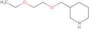 3-[(2-Ethoxyethoxy)methyl]piperidine