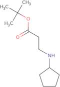 tert-Butyl 3-(cyclopentylamino)propanoate