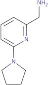 1-[6-(Pyrrolidin-1-yl)pyridin-2-yl]methanamine