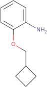 2-(Cyclobutylmethoxy)aniline