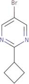 5-Bromo-2-cyclobutylpyrimidine