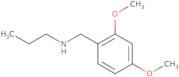 [(2,4-Dimethoxyphenyl)methyl](propyl)amine