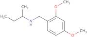 (Butan-2-yl)[(2,4-dimethoxyphenyl)methyl]amine