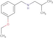 [(3-Ethoxyphenyl)methyl](2-methylpropyl)amine