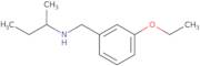 (Butan-2-yl)[(3-ethoxyphenyl)methyl]amine