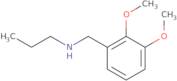 [(2,3-Dimethoxyphenyl)methyl](propyl)amine