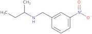 (Methylpropyl)[(3-nitrophenyl)methyl]amine