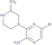 6'-Bromo-3-methyl-3,4,5,6-tetrahydro-2H-[1,2']bipyrazinyl-3'-ylamine