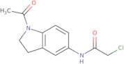N-(1-Acetyl-2,3-dihydro-1H-indol-5-yl)-2-chloroacetamide