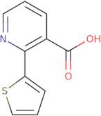 2-(Thiophen-2-yl)nicotinic acid