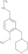 {[4-Methoxy-3-(morpholin-4-ylmethyl)phenyl]methyl}(methyl)amine