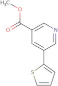 Methyl 5-(thiophen-2-yl)pyridine-3-carboxylate