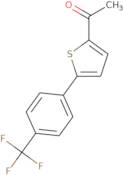 1-{5-[4-(Trifluoromethyl)phenyl]thiophen-2-yl}ethan-1-one