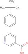 5-(4-t-Butylphenyl)nicotinic acid