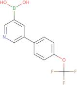 5-Methyl-4-(piperidin-1-ylmethyl)-1,2-oxazole-3-carboxylic acid
