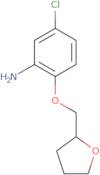 5-Chloro-2-(tetrahydro-2-furanylmethoxy)aniline