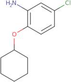 5-Chloro-2-(cyclohexyloxy)aniline