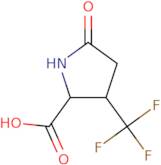 5-Oxo-3-(trifluoromethyl)pyrrolidine-2-carboxylic acid