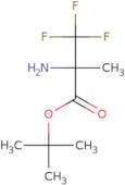 tert-Butyl 2-amino-3,3,3-trifluoro-2-methylpropanoate