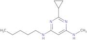 2-Cyclopropyl-N4-methyl-N6-pentylpyrimidine-4,6-diamine