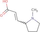 (R,E)-3-(1-Methylpyrrolidin-2-yl)acrylic acid