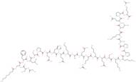 des-Gln14-Ghrelin (rat)