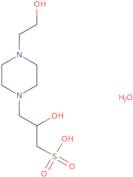 2-Hydroxy-3-(4-(2-hydroxyethyl)piperazin-1-yl)propane-1-sulfonic acid xhydrate