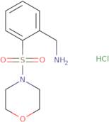 [2-(Morpholine-4-sulfonyl)phenyl]methanamine hydrochloride