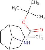 tert-Butyl N-{3-methylidenebicyclo[3.2.1]octan-8-yl}carbamate